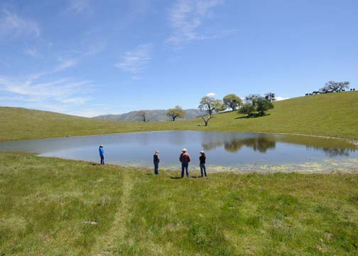 Alameda County Resource Conservation District - Wildlife-friendly Pond Restoration Program