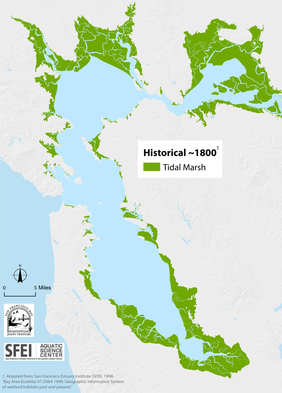 Baylands Map Historical