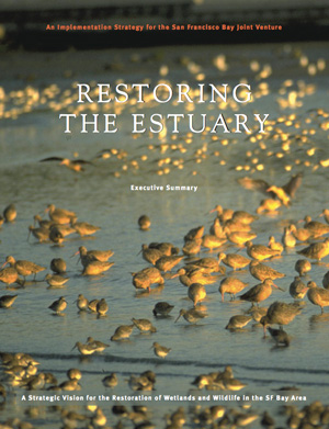 Restoring the Estuary