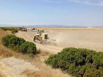 Sonoma Creek Marsh Enhancement