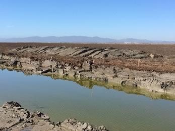 Sonoma Creek Marsh Enhancement