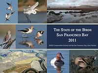 Baylands Ecosystem Habitat Goals Report