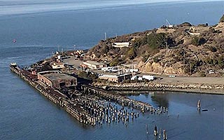 Terminal Four Wharf, Warehouse, and Piling Removal Project